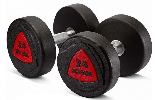 Набор из 5 пар обрезиненных гантелей 42-50 кг (шаг 2 кг) Ziva серии ZVO ZVO-DBPU-1005 красная вставка 600_380