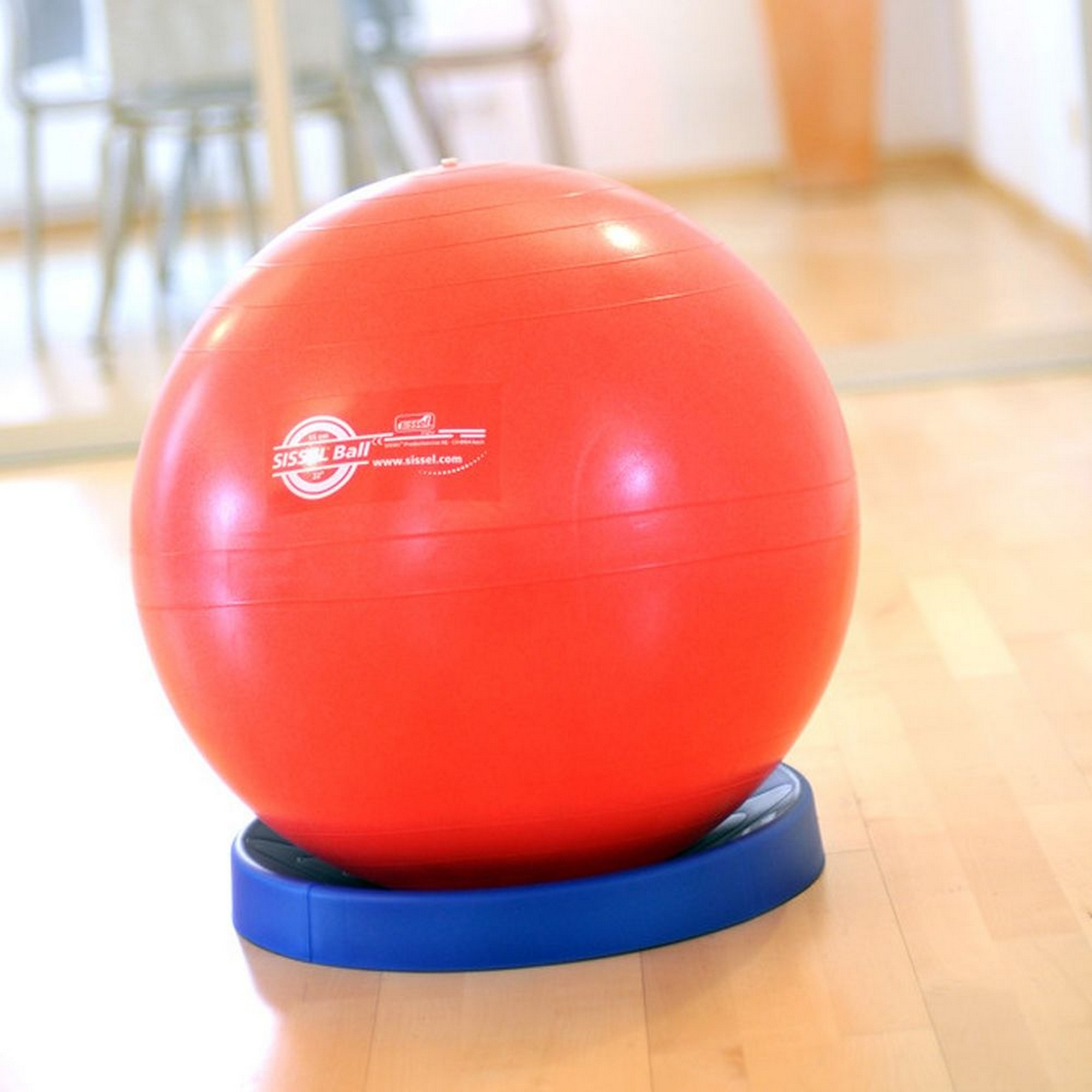 Подставка под гимнастический мяч SISSEL Exercise Ball Stabilizer 160.016 синий 2000_2000