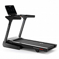 Беговая дорожка домашняя Svensson Body Labs PHYSIOLINE SPRINTMASTER A 120_120